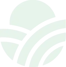 Object