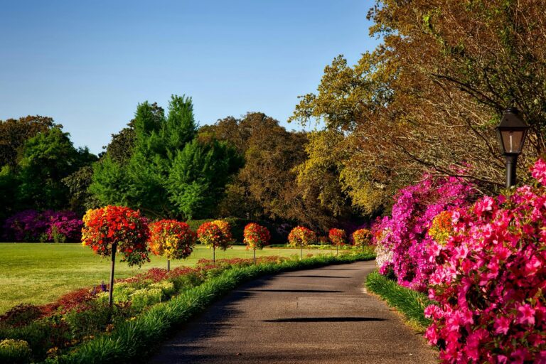 Slimme technologie voor hoveniers, landscaping