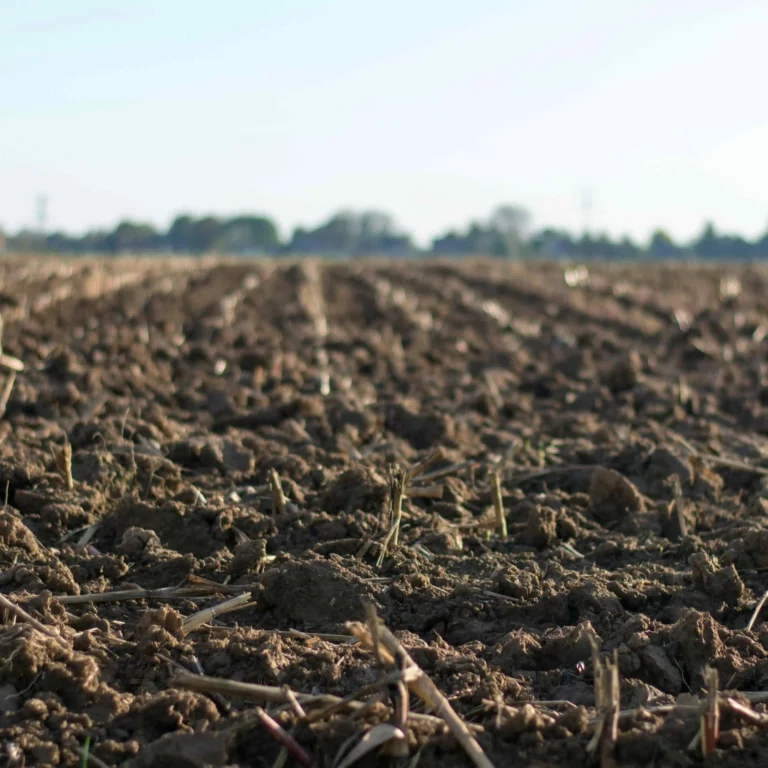 ph waarde grond meten, ph meten, grond ph meten, ph meting grond, zuurgraad grond meten, ph test grond